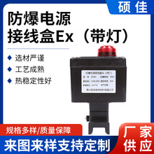 电伴热带防爆带灯电源接线盒带灯二通三通盒尾端防爆