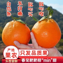 ��Ҋ�ҰҸ̖|�´�Ҋ�Ĵ�üɽ�Լҹ��@ֱ�l�|�´�Ҋ�ҰҸ̸��ٳ���