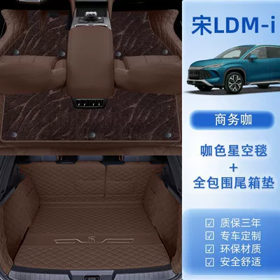 Ayaqaltılar (Kovriklər) – Suitable for BYD Song LDMI - 24-models-song-l-dm-i-package-b-original-car-business-coffee-coffee-starry-sky-blanket-trunk-all-inclusive