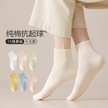 袜子女士纯色棉春秋吸汗糖果色中筒女袜透气全棉无骨袜女批发诸暨