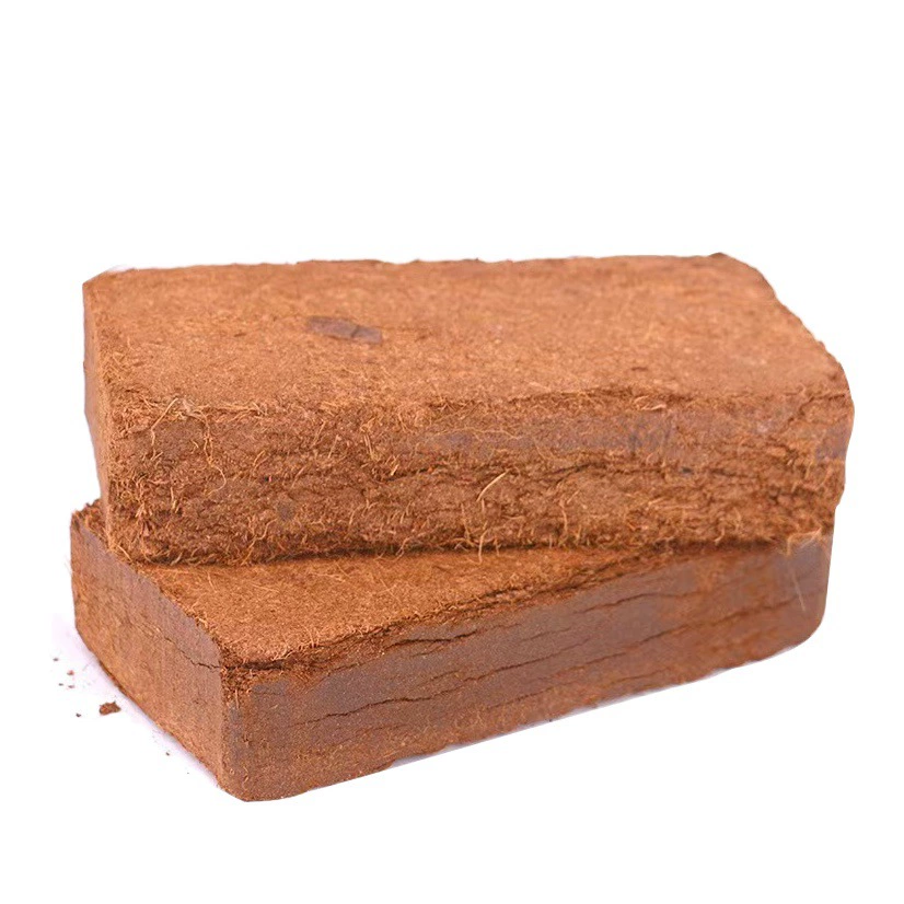 Асептический кокосовый кирпич Кокосовая почва Балкон Растительная посадка Обессоливание почвы Кокосовый кирпич Роза Почва Питательная почва Универсальная