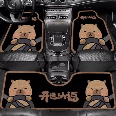 Avtomobil döşəmə paspasları foot mat