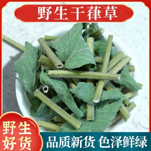 ��ș�� Ȅ�� �ɲ� ������ �߸��� ������ ��������צ��500g�˰��]