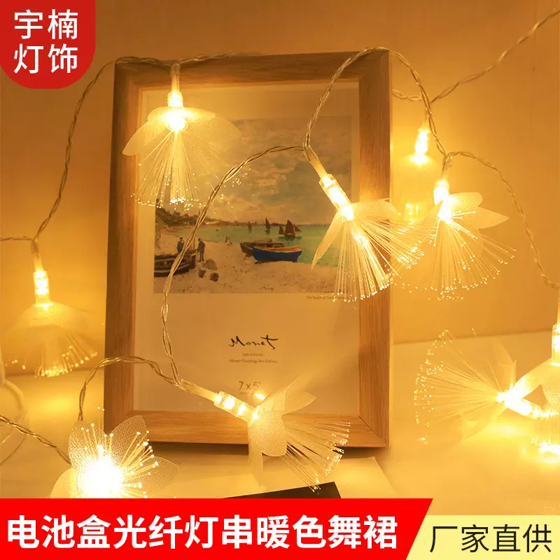 LED光纤花室内灯串定制新款电池盒节日圣诞婚庆浪漫装饰彩灯