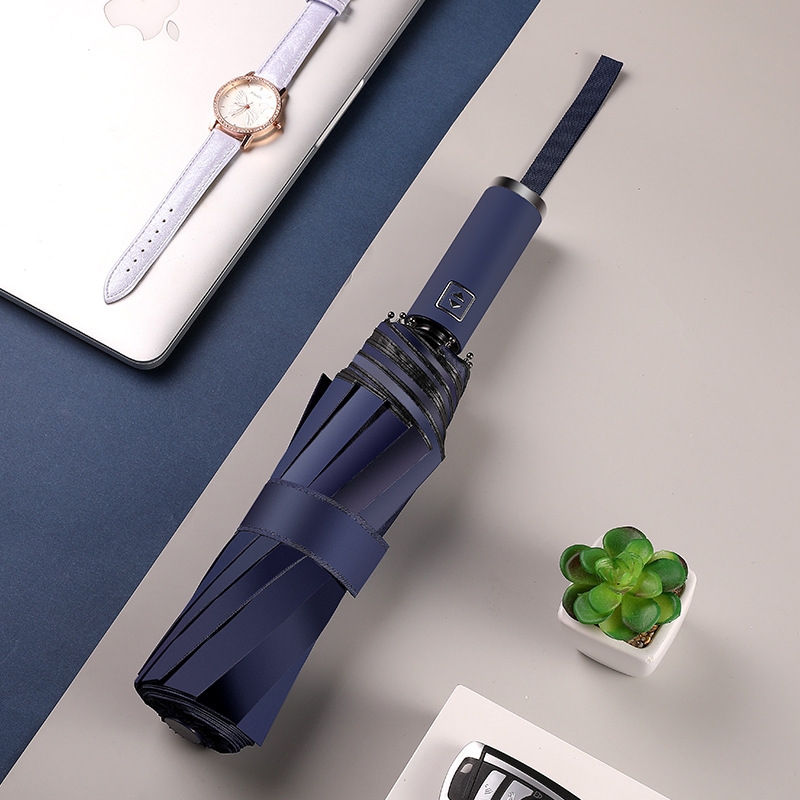 ȫԶżԼɡɡԶɡ10ǿǼܺڽ̫ɡ