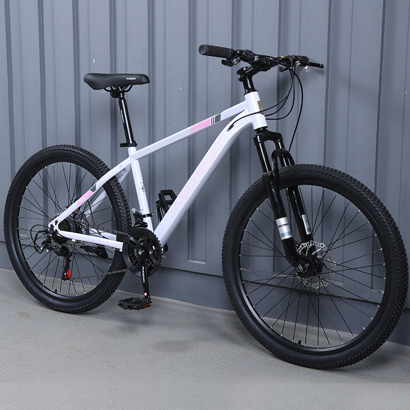 Aluminum frame spoke wheel-white powder-24 inches-24 speed