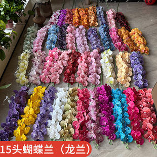 15�^�����m�����m����ɫ���䳬�ɷՇ���ɭϵ�ȼ��L�F�������