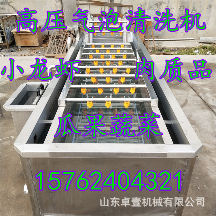 酸菜叶子清洗机 草莓鸭梨沃柑甜橙清洗机 厂家直销价 大型款耐用