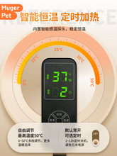 ���l�،m�ӟ�|�ؿؿɿ؜ؼľ�з���������؜����������x����