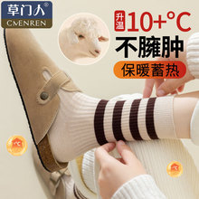 毛袜子女春秋季中筒袜保暖美利奴加绒加厚毛圈袜秋冬抗寒长筒袜羊