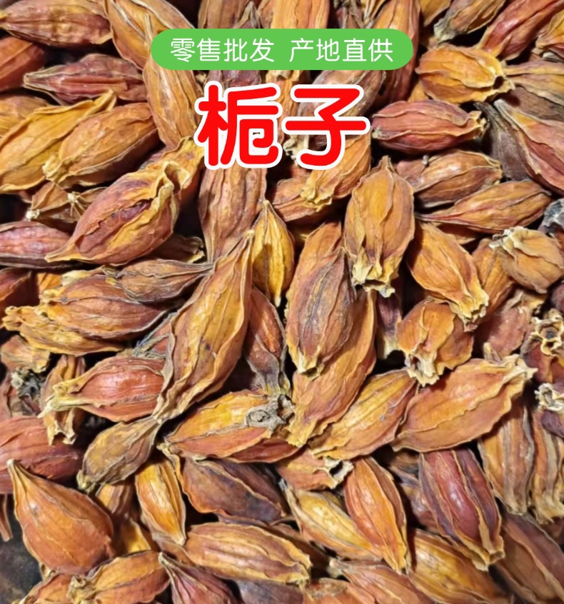 Dried Gardenia Fruit Zhi Zi 500g Red Gardenia Jasminoides for Herbal Tea and Decoction overview