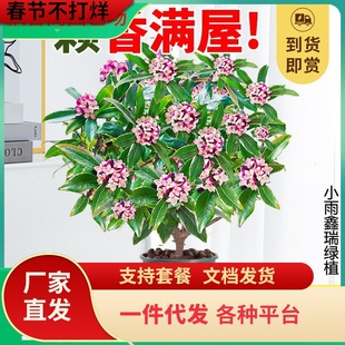 һ�����l��߅�������ԝ����͎������҃ȿ͏d�̨�ͺ��Ϙ������ļ�