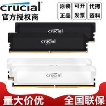 Ӣ_DDR5ȴl6000lProϵ32G(16GB*2)חlԭSw