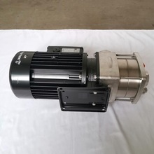 TPH12T6KS��WALRUS