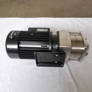 TPH12T6KS��WALRUS