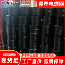 浸塑黑丝电焊网防鸟网户外果园防护网花园防鼠防蛇热镀锌铁丝网