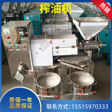 农家用新型花生榨油机 油葵籽菜籽榨油机 植物榨油设备