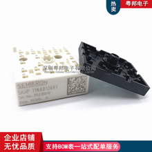 SKIIP11NAB126V1 SKIIP13AC126V1 SKIIP10NAB12T4V1 IP11NAB063T1