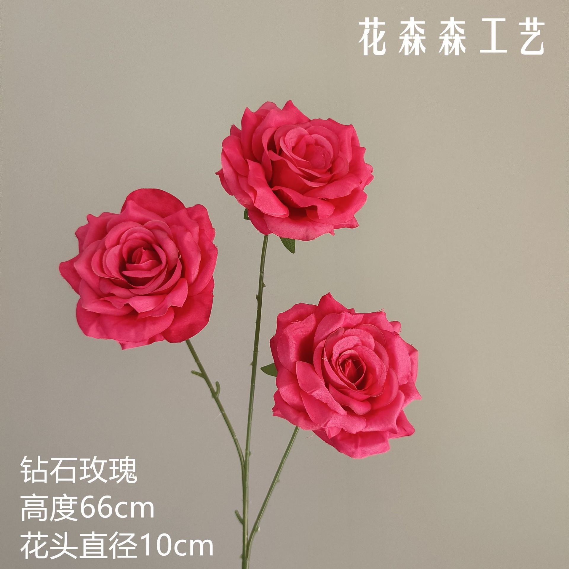 다이아몬드 로즈 133517