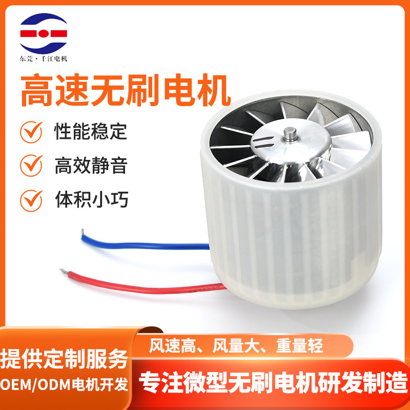 Micro Dc Motor 220V High-Speed Hair Dryer Dryer Driver Dc Ultra-High-Speed Brushless Motor Customization