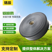 �S�����l΢���� �r�ô�����pe��ˮ�� ���500��/�� �r�Ç�����