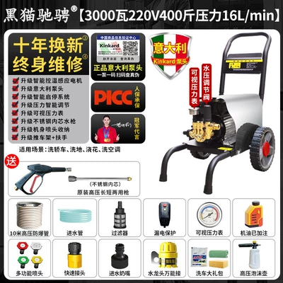 Black Cat High-Pressure Car Washer Car washing machine - italian-brand-pump3000w-220v-200kg-pressure-16l-flow-10m-tubing-classic-home-use-version-b