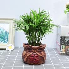 ����Ҭ��С���ԾGֲ�����҃��k�����B�մɃ����՚��Pβ���ļ�����