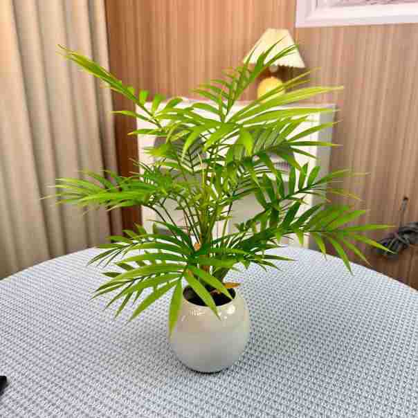 シミュレーション緑植単枝束ブラジル木楡樹葉室内装飾造景竹葵客間装飾シミュレーション植物|undefined