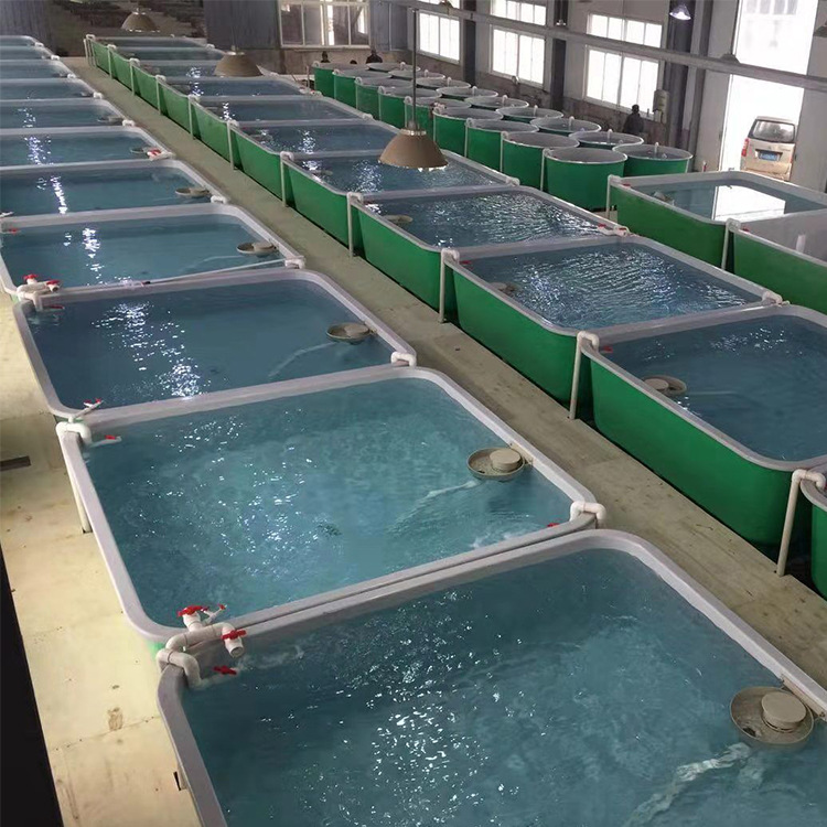 室内循环水养殖设计工厂化循环水养殖系统循环水养殖工程环保鱼池