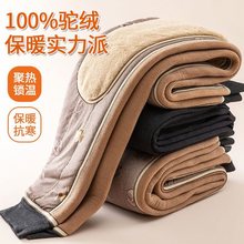 保暖裤男春夏加绒加厚羊羔绒棉裤高腰护腰毛裤高腰深档长护膝绒裤