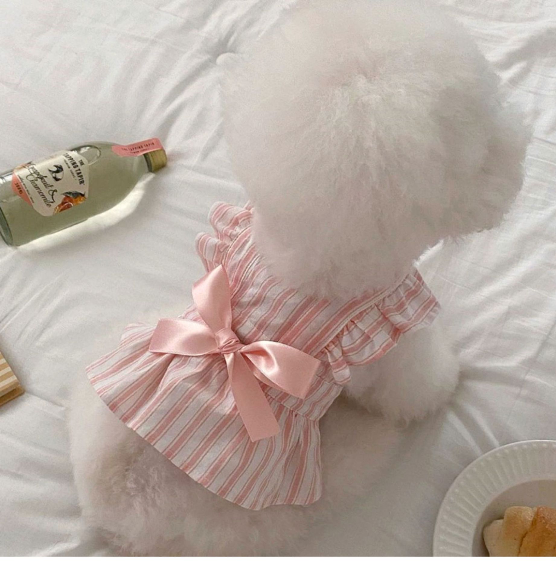 Robe de princesse d'été pour chien petit chien et chat_voghion.com