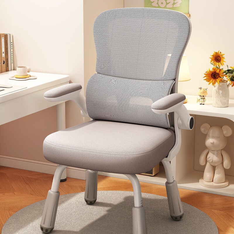 Study Chair, Computer Chair, Desk Chair, Home Writing Chair for Primary and Secondary School Students, Children's Writing Chair That Can Be Raised and Lowered for Homework