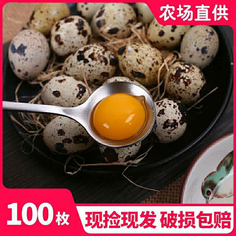 Quail eggs 100 Farm fresh Egg 50/100 Gold /120 Cross-border wholesale