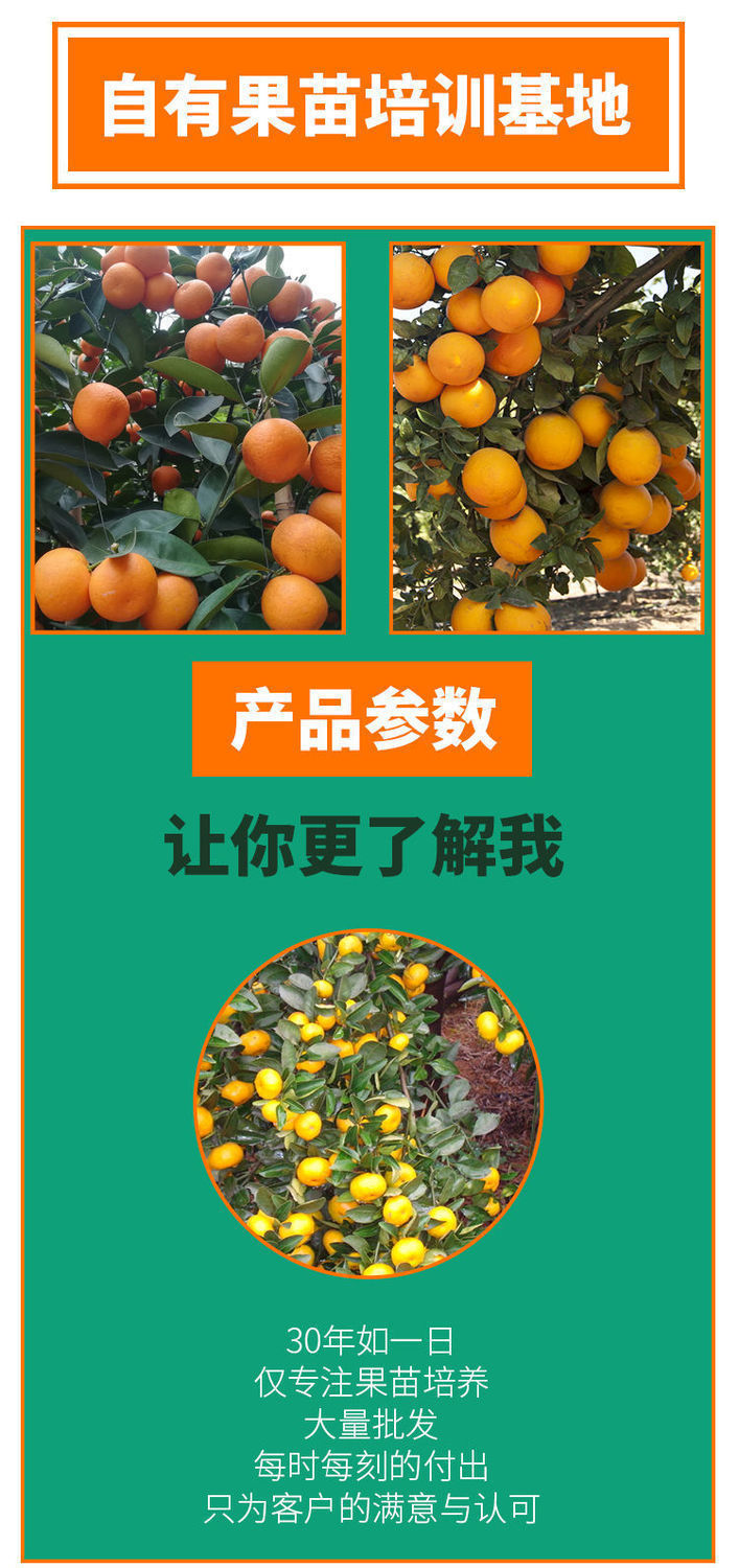 788f205f-cb98-4650-9fa2-7990a5