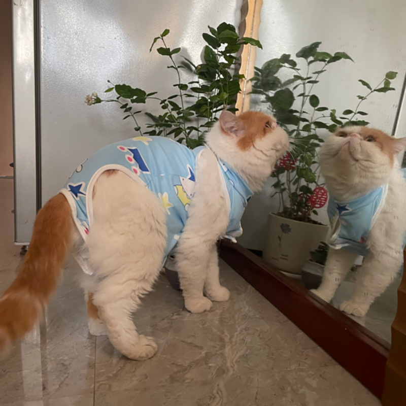 蓝2