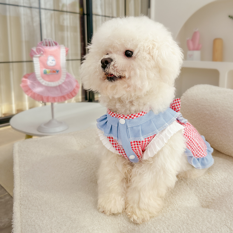(2개) 카우보이 강아지 하복 애완동물 공주 스커트 테디 비숑 봄과 가을 소형견견 스커트 코튼