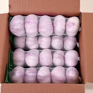 �¸����^���݃�������^�ɼtƤ���l���r���ڰ�Ƥ�羳���S؛Դ���l