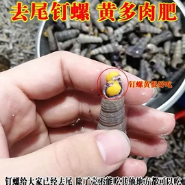 软体类;鱼类;贝类