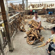 ��Ϙ}�ٶ��v��ƽ�����v���l����֦�ɸɻ��y���~������Ⱦɫ�tɫϵ