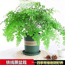 �F��ާ�������~ˮ��ާֲ����ꎿ͏d�҃��ⴹ�����B���ļ�����Gֲ