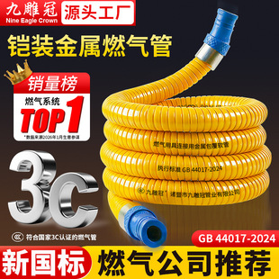 防爆燃气管