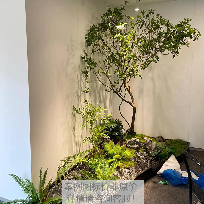擬似馬酔木緑植景観組合せ偽樹植物階段下造景ショーウインドーコーナー室内装飾配置|undefined