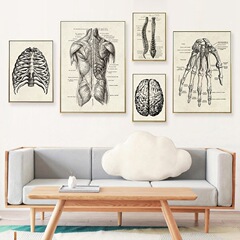 人體器官骨骼各部位解析海報帆布畫 現代家居裝飾畫無框畫芯批發