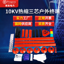10KV�����s��|�K���^WSY-10/3.1 3.2 3.3 3.4 ��|��������