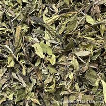 2020긣ײ̫ɽɽҰ˲ҰСؕüС˲ɢ~500