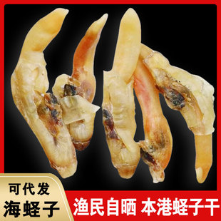 �O���ԕ��r�����}��ȥɳ������500g���|�����؛���|�Ӹ����l