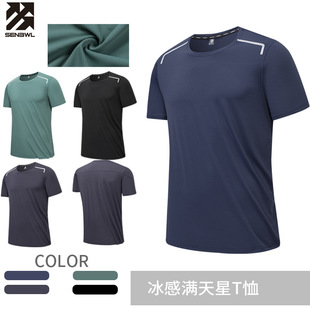 Ice Silk Rock Climbing Short-Sleeved Round Neck Breathable Sweat-Wicking Casual Rafting Reflective Strip Quick-Drying Fitness Running T-Shirt for Men