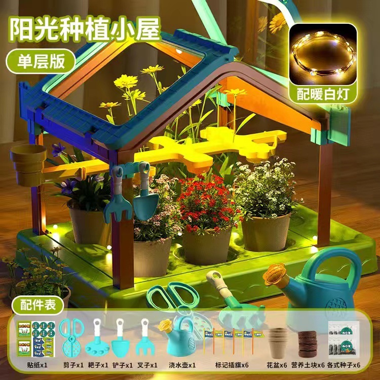 [절묘한 선물 상자] 단층 햇빛 방 6 씨앗 DIY 라이트 벨트