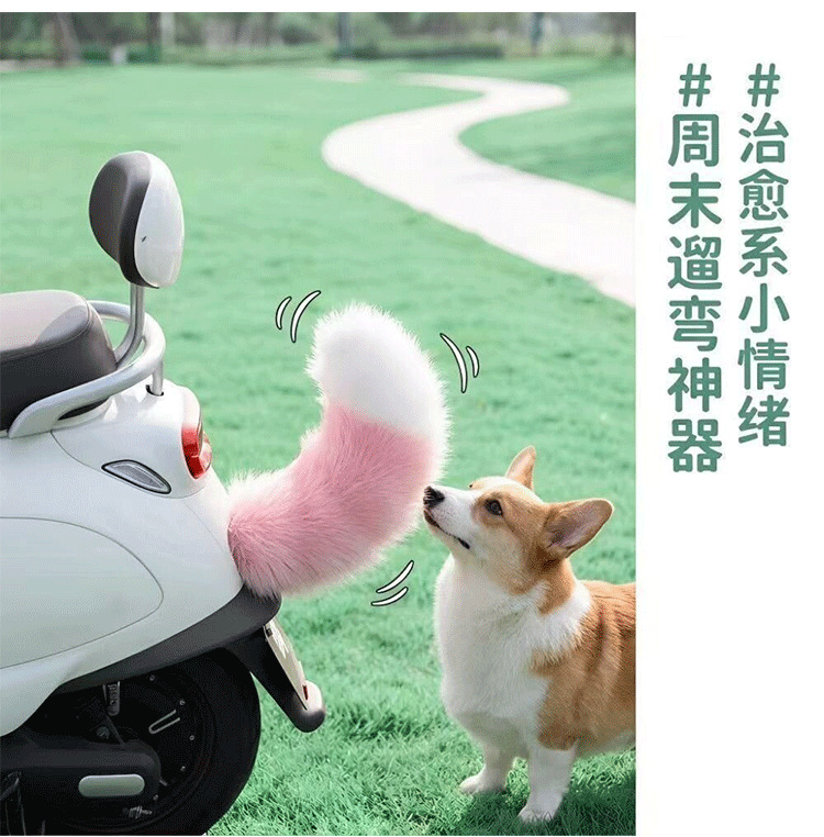 Moving Tail Decoration for Electric Vehicle Rear End, Suitable for Green Source, Lima, Xinri Electric Bikes, Small Decorative Accessories