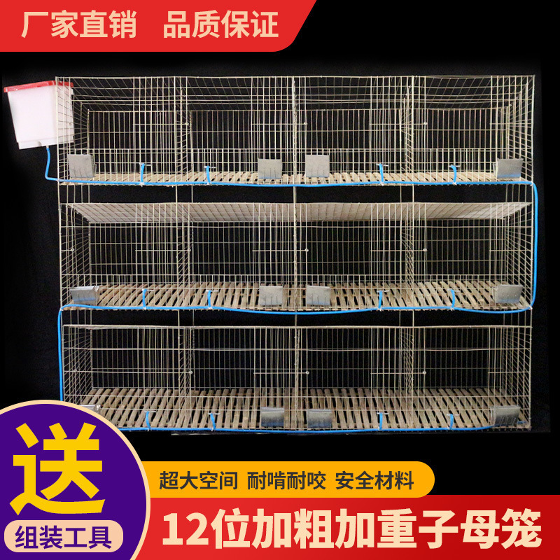 兔子笼自动清粪养殖场特大号大型双层新式兔笼子母笼兔笼直销